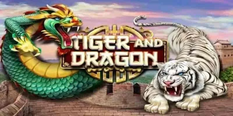 Rồng hổ Xin88 là gì?