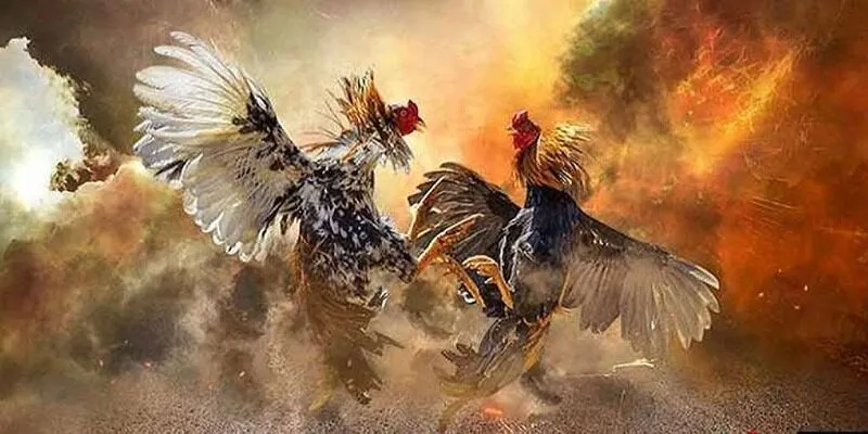 Cần nắm rõ cách đăng ký để chơi cho hiệu quả